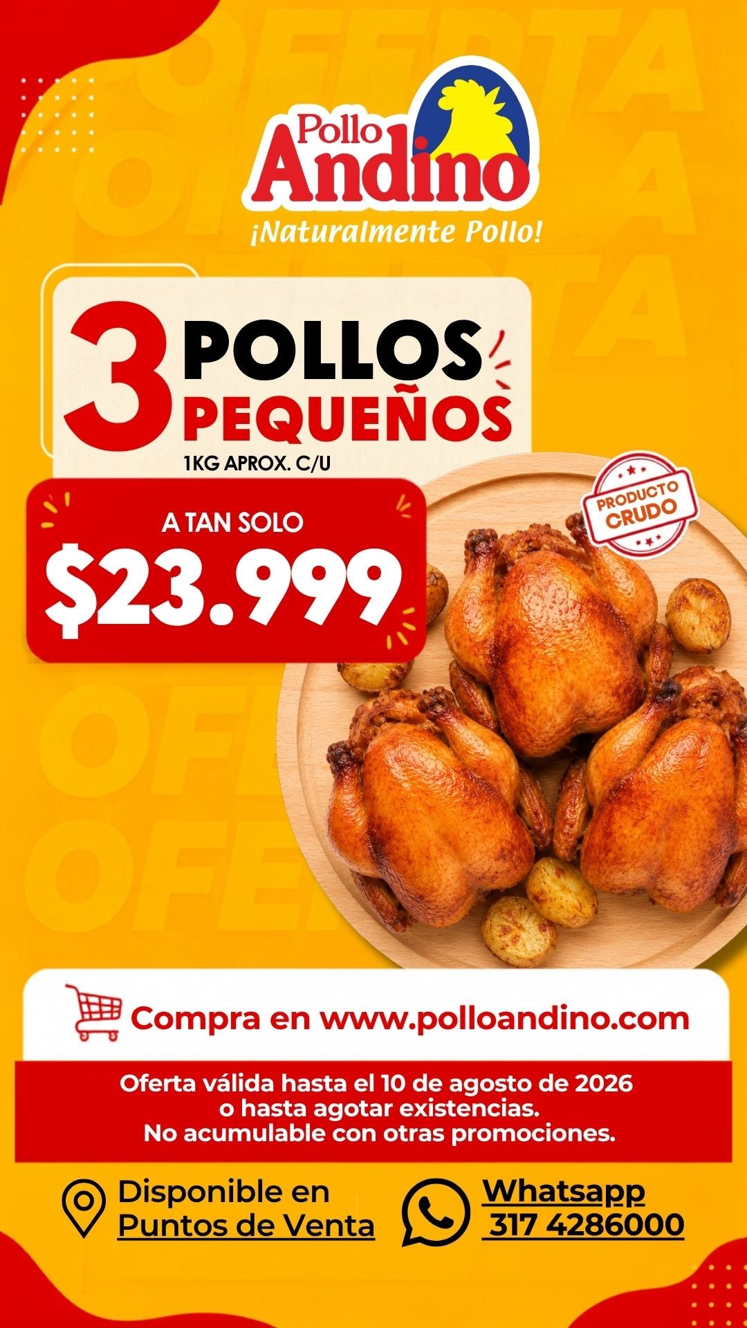 Oferta 3 pollos pequeños enteros 1 kg aprox. c/u